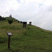 Foto von Janos Csiszer