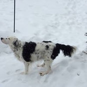 Diann Catanzarite's photo