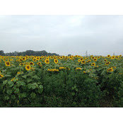 Stephanie F's photo