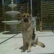 Tina Gesser Rusk's photo