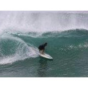 Adam Warwick's photo