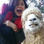 Elmo Shih's photo