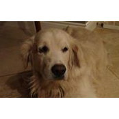 Cheryl McMullan's photo
