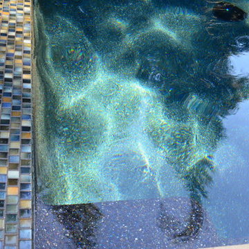 Wet Edge Glossy Black- Mclean, Virginia