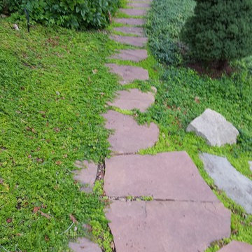 Step Materials