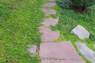 This is an example of a landscaping in Other.
