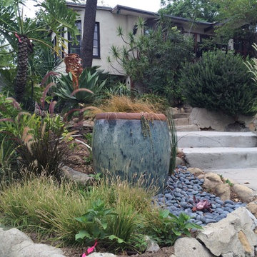 Ornamental Grass