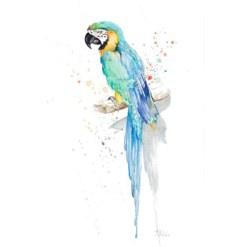 "Watercolor Parrot" Canvas Art, 16"x24"