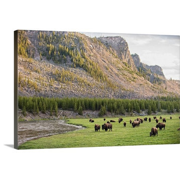 "Bison in Meadow" Wrapped Canvas Art Print, 18"x12"x1.5"