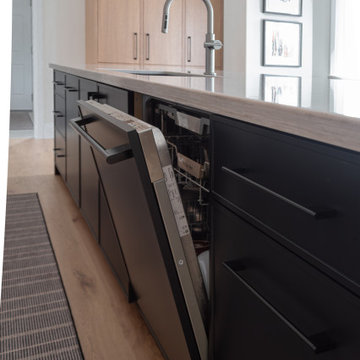 Kitchen Panel Ready Dishwasher, Detail | Subtle Light, Bold Black