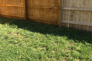 Fence Stain Job