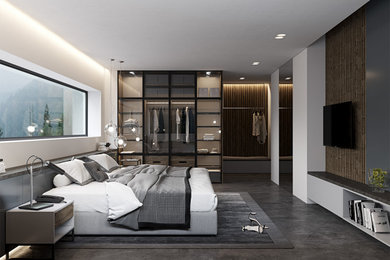 Modelo de dormitorio principal minimalista grande