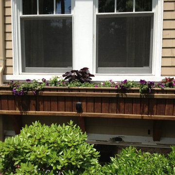 Seasonal Container Plantings & Changeovers