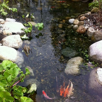 Ponds
