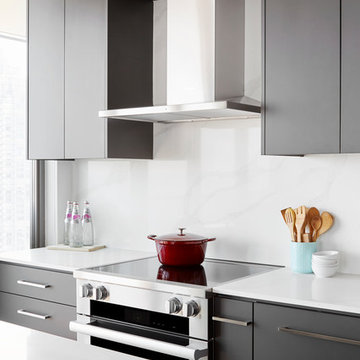Downtown Toronto Modern Condo Kitchen