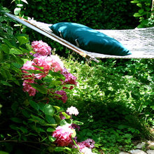 landscape/gardening
