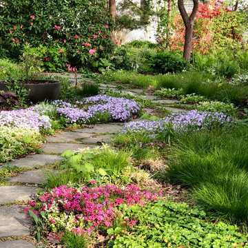 Wild Oasis In The City