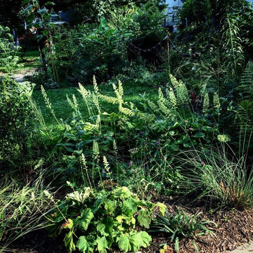 Front & Backyard Garden
