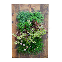Indoor Garden