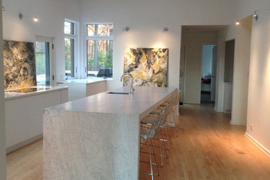 Inspiration for a contemporary home design remodel in Toronto