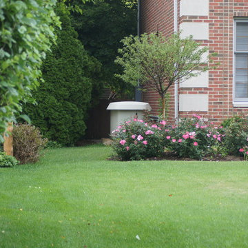 Clarendon Hills Generator Install