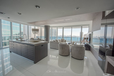Transitional living room photo in Miami