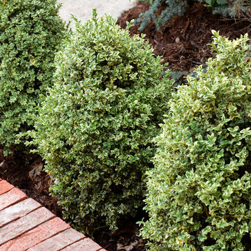 Norman, OK Landscaping Renovation