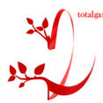 Total Garden Solutions's profile photo
