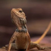 Priya Valluvan's photo