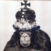 Roberto Costa's photo