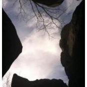 Beau Wilson's photo