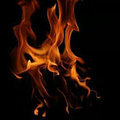 The Fire Place's profile photo