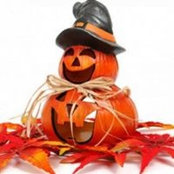 Janine Harlam's photo