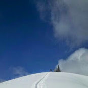 Matt Evans's photo
