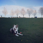 Felicia H's photo