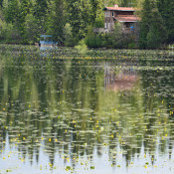 Pragati Gupta's photo