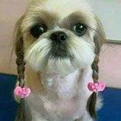 Joyce Mackey's photo