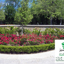 بركه و آبشار