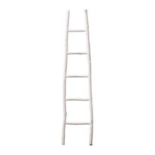 Ladder