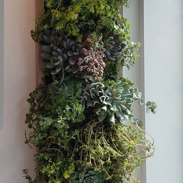 Living Walls