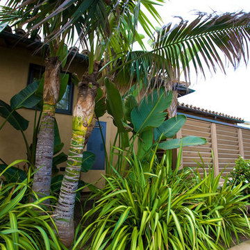 Coastal Living #2