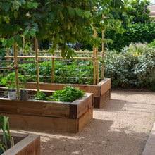 Raised Beds