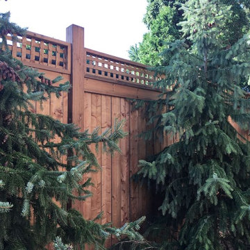 Woodland Garden Design Install