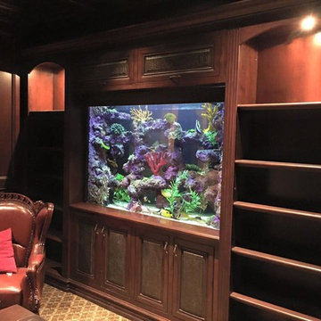 Custom Office Aquarium