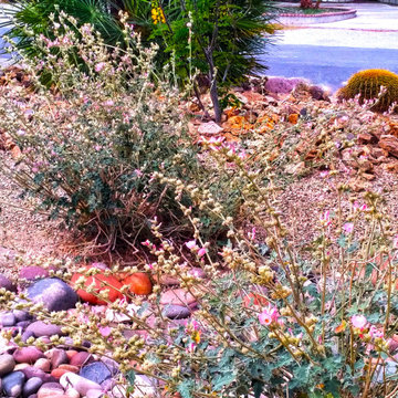 A Dry Streambed Revisited