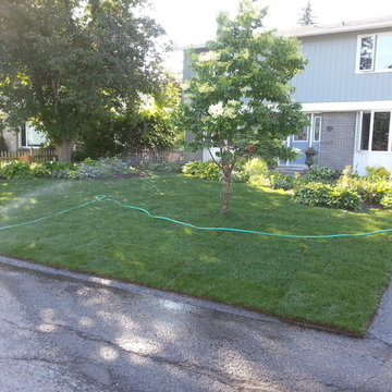 Re-Sodding After Pictures 2013