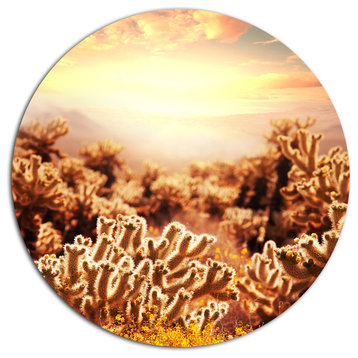 Cactus Plants In Saguaro National Park, Flower Round Wall Art, 11"