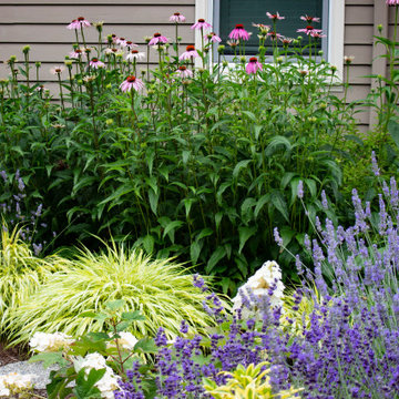Sabin Habitat Garden