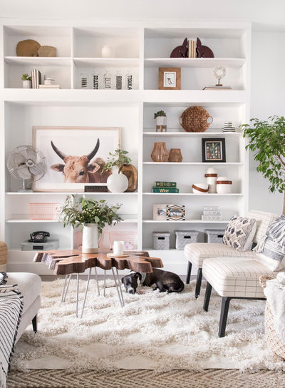 Pet's Place: Griffin