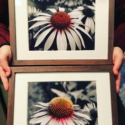Photography - Home Decor